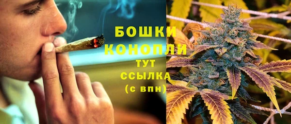 apvp Касимов