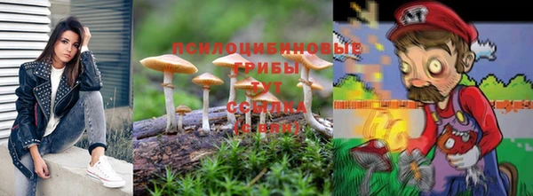 apvp Касимов