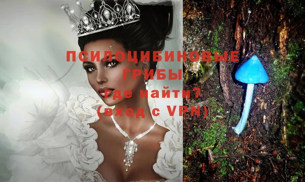 гашик Карталы