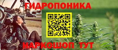 сатива Заводоуковск