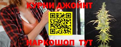 сатива Заводоуковск
