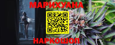 сатива Заводоуковск