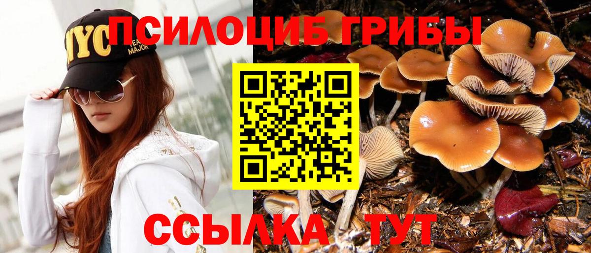 Сухой Лог  Галлюциногенные грибы GOLDEN TEACHER  наркошоп  Вход с VPN  Галлюциногенные грибы мухоморы 
